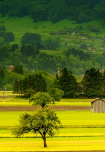 El mundo rural en FIMA